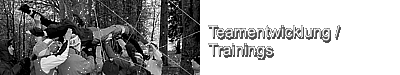 Teamentwicklung / Trainings - Team Factory